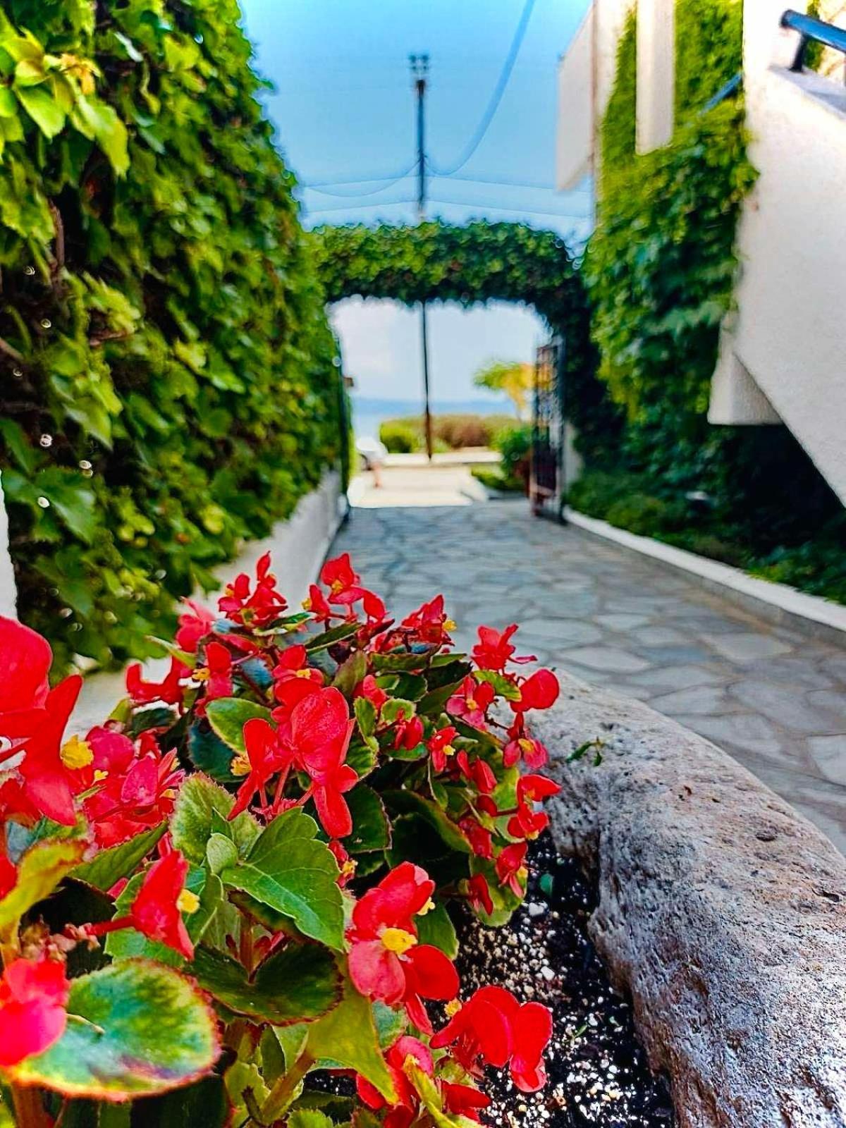 Argo Apartments Неа-Потидеа Экстерьер фото